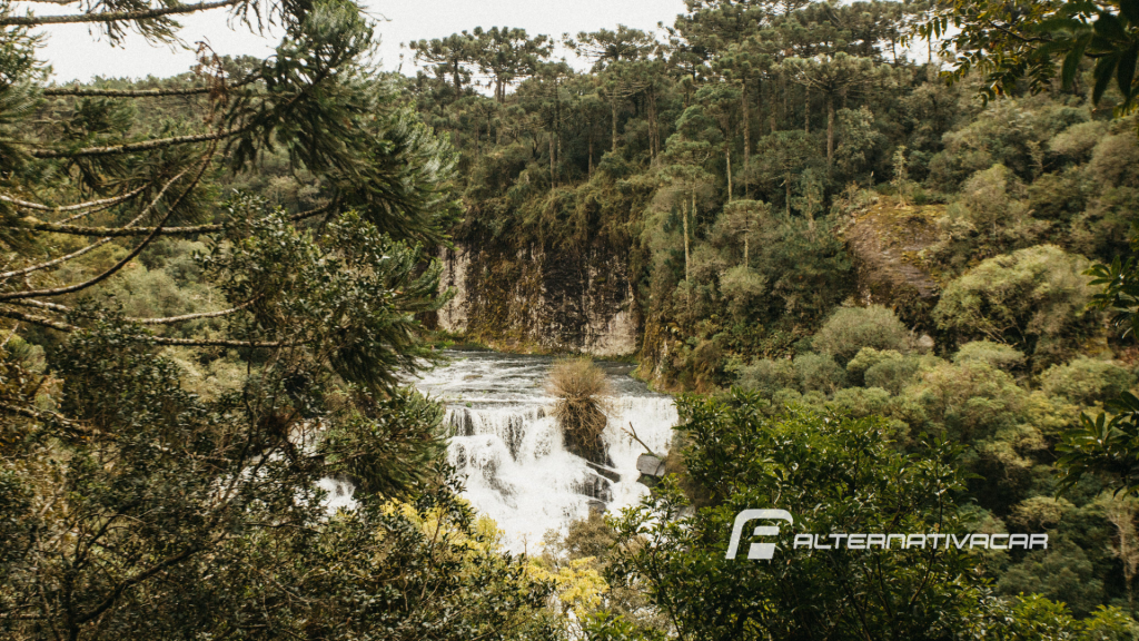 Parque ecológico para você visita com a Alternativa Car, aqui você encontra os melhores preços para alugar o seu veículo!